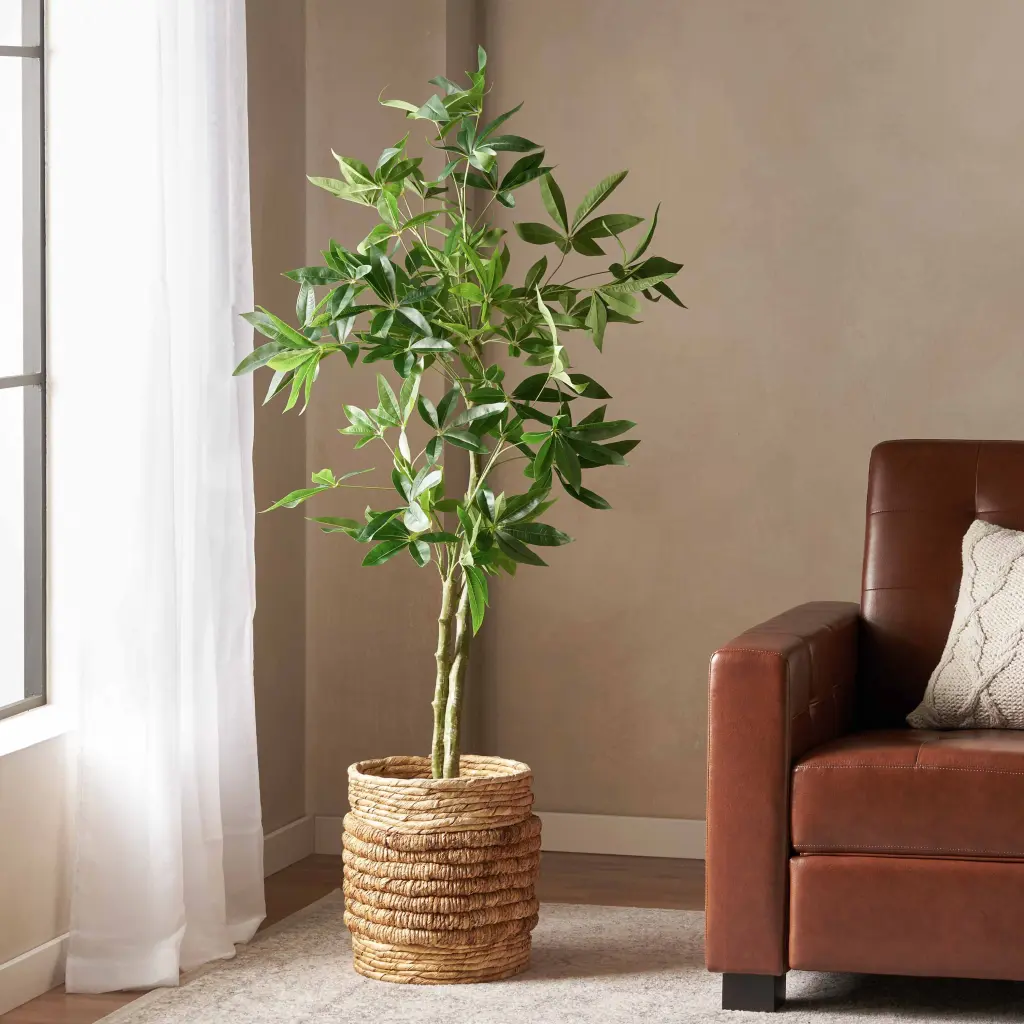 160cm Artificial Pachira Macrocarpa Green Polyethylene Plant nh-bc furniturings
