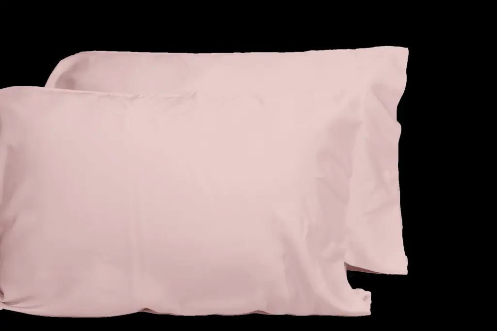 Luxurious Viscose From 100% Bamboo 2 Piece Pillowcase Set Oeko Tex Certified dty home