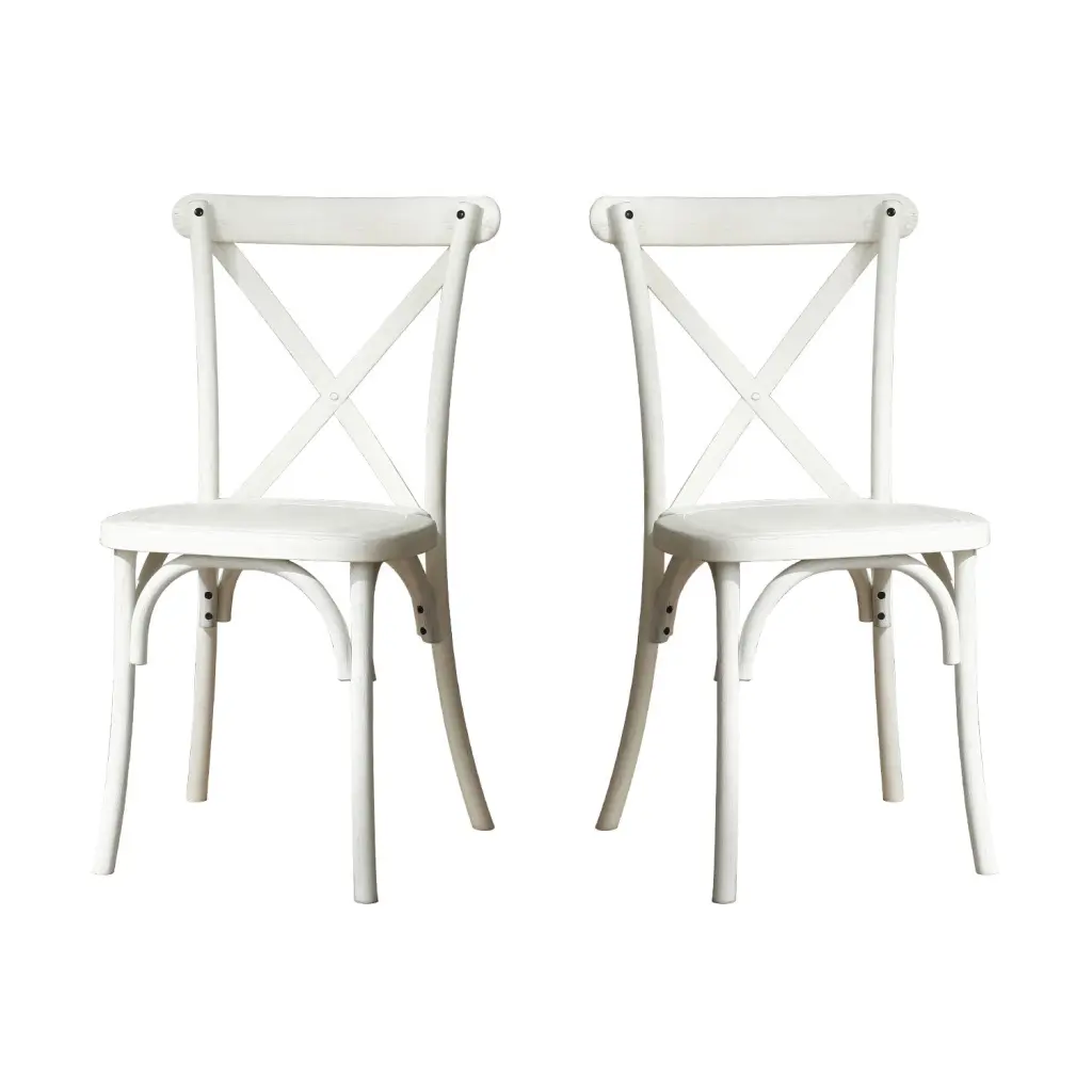 2 Pack Resin X Back Chair Dining Chair Modern Farmhouse Style justone outdoor -premium-