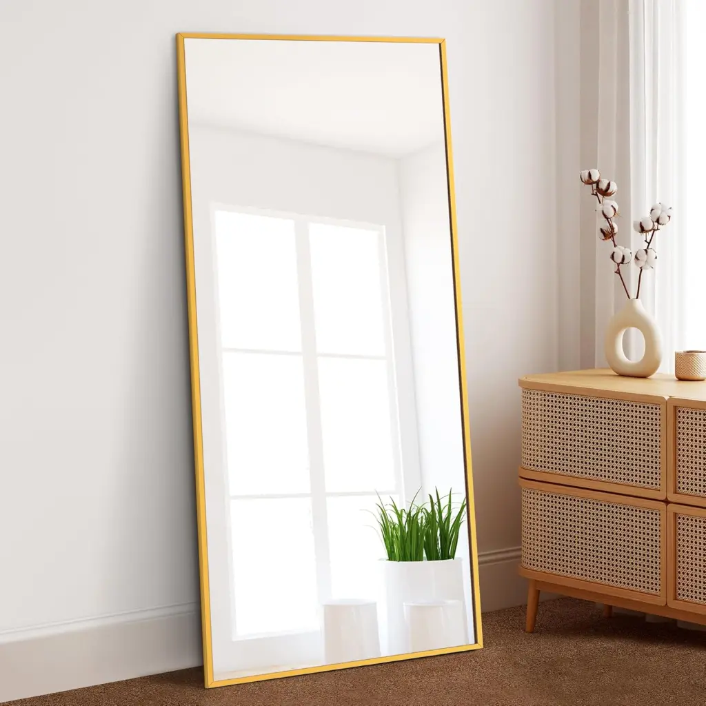 Dolonm 71X28 Inch Full Length Mirror Modern Design Standing Floor Mirror Bedroom or Dressing Room t2956