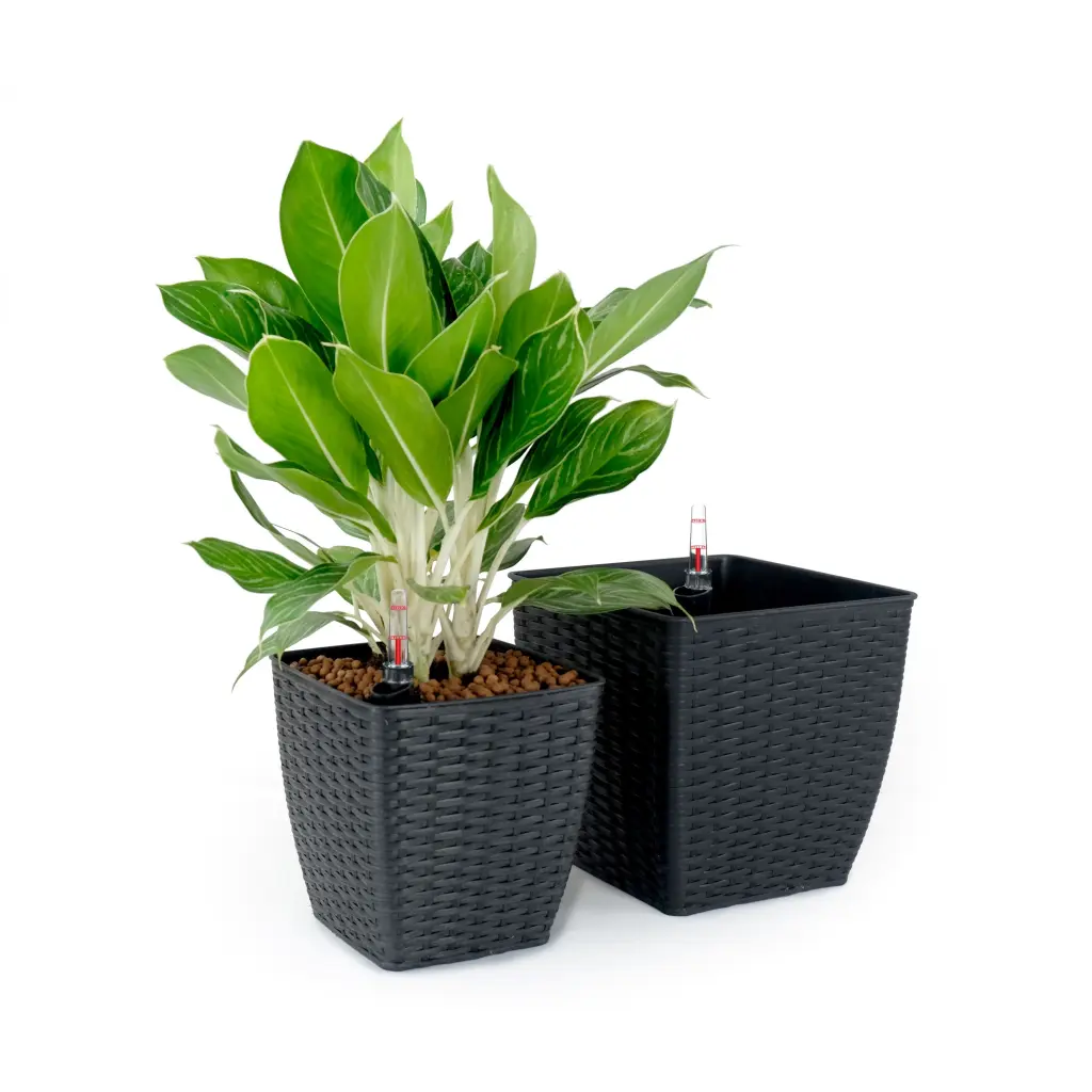 2 Pack Self Watering Planter Hand Woven Wicker Thin Square Dark Gray Indoor Outdoor dty home