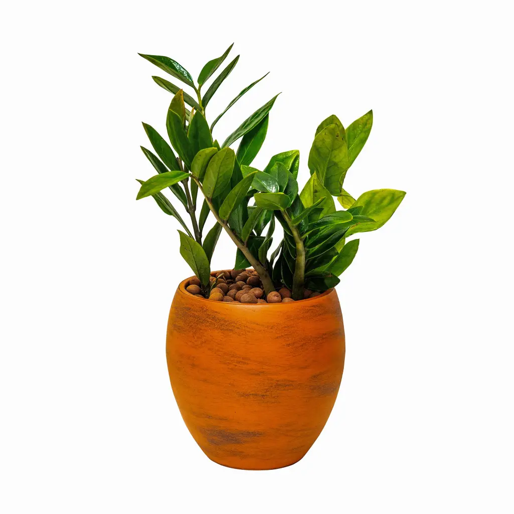 Smart Self Watering Round Planter Pot Indoor and Outdoor Plants Terracotta dty home
