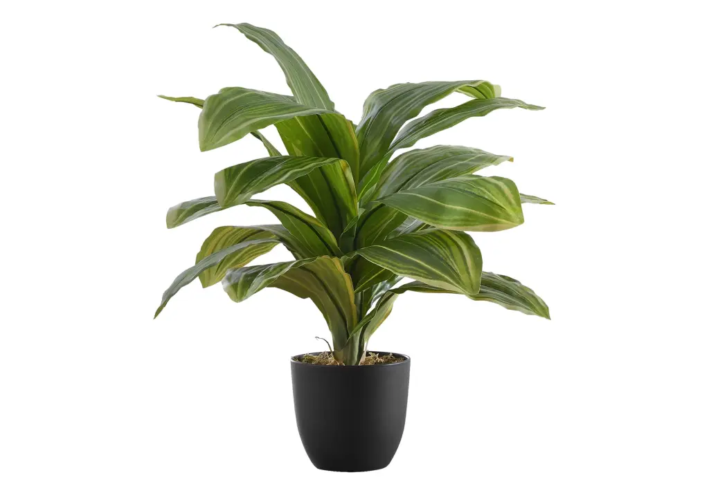 Artificial Dracaena Plant 17 Inch Tall Faux Indoor Greenery Table Decor 8th street living
