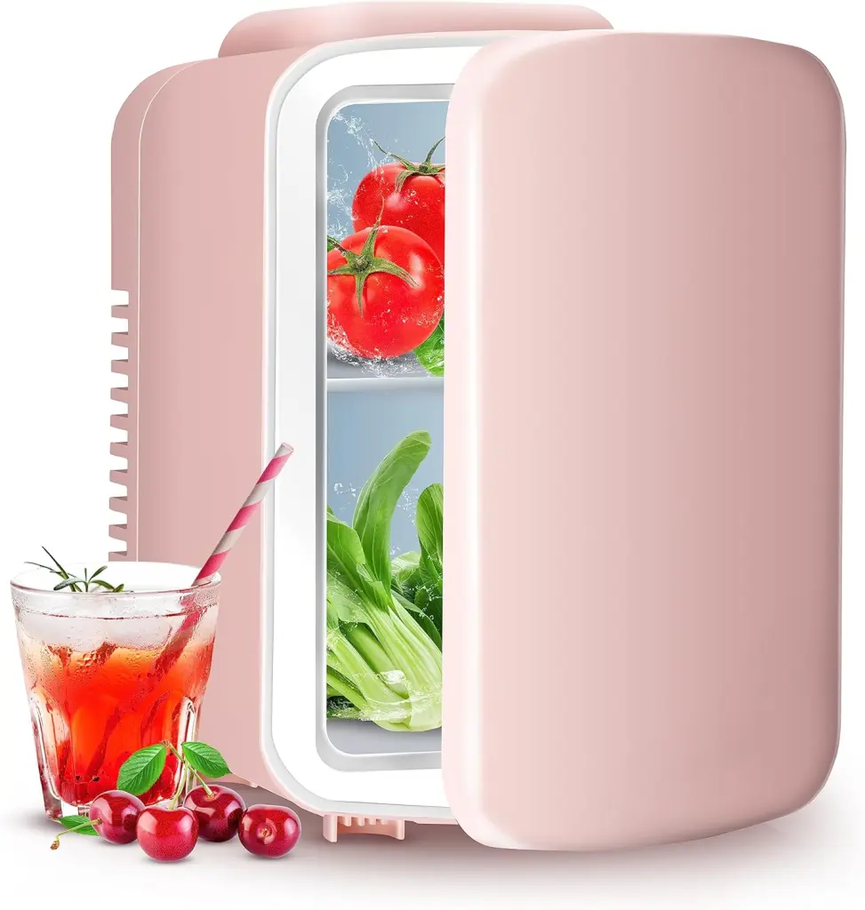 4L Mini Fridge 6 Can Travel-Friendly Cooler and Warmer Space-Saving Refrigerator w1134dhs