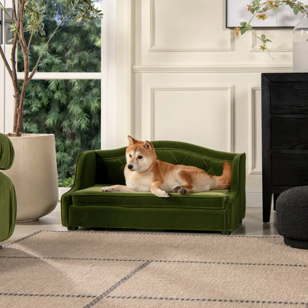 35 Inch Tufted Wingback Pet Sofa Bed Medium Size Olive Green jennifer taylor home