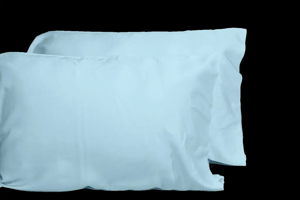 Luxurious Viscose From 100% Bamboo 2 Piece Pillowcase Set Oeko Tex Certified dty home