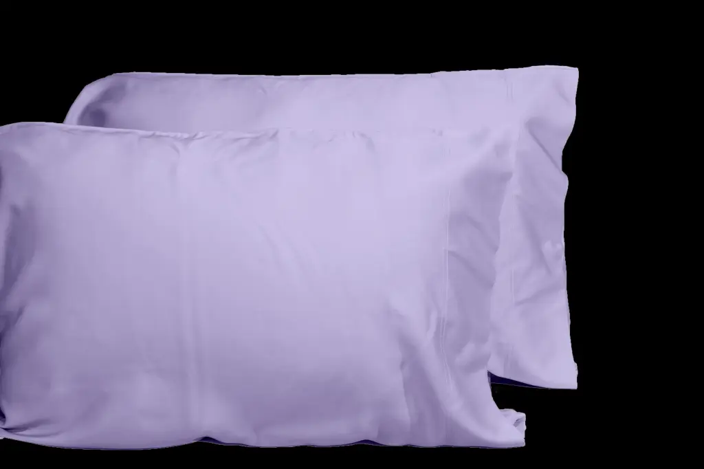 Luxurious 2 Piece Viscose Pillowcase Set Made from 100% Bamboo OEKO-TEX Certified dty home
