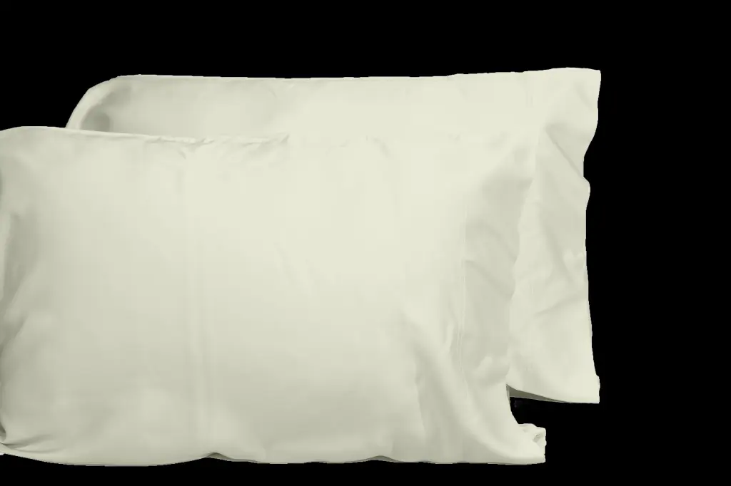 Luxurious Viscose From 100% Bamboo 2 Piece Pillowcase Set OEKO TEX Certified Soft dty home
