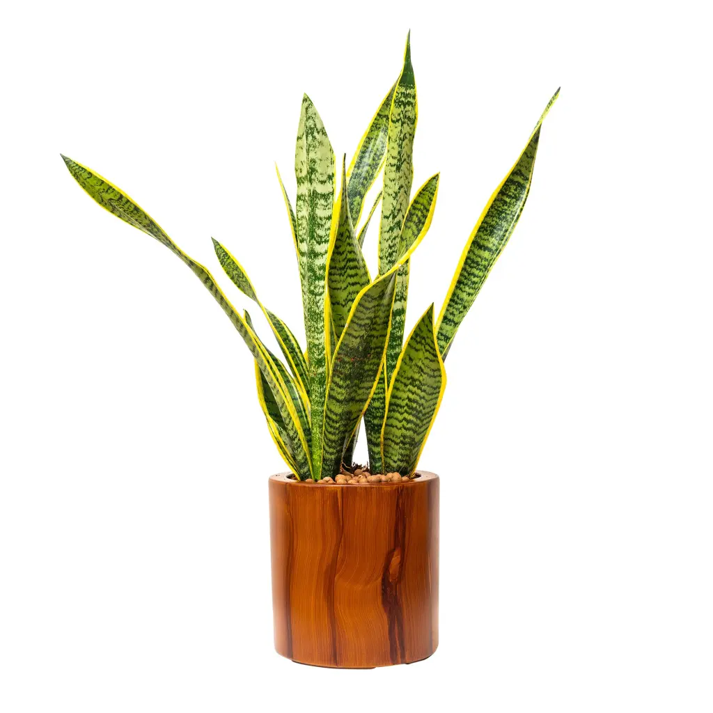 7.8 Inch Dark Timber Polymer Self Watering Planter Pot Dark Brown dty home