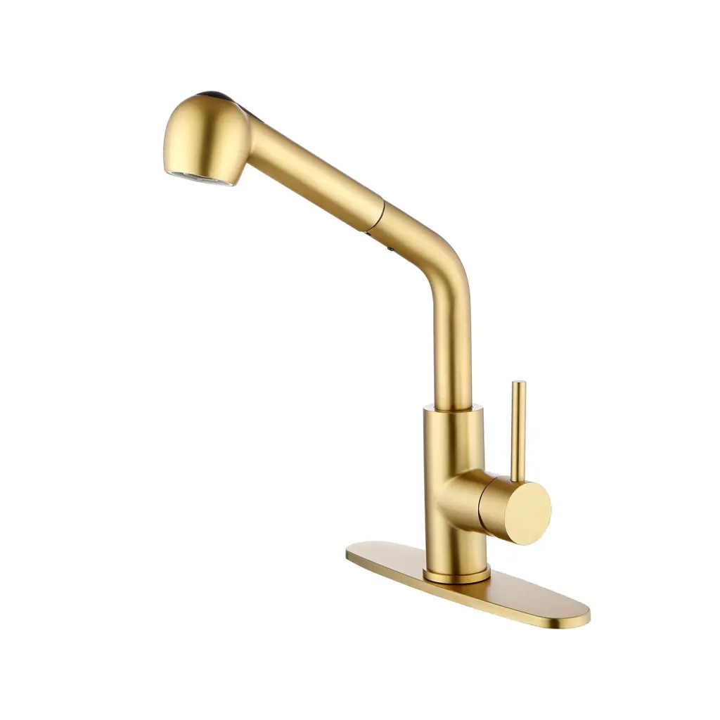 Single Handle Kitchen Sink Faucet Pull Out Sprayer Brushed Nickel w2287