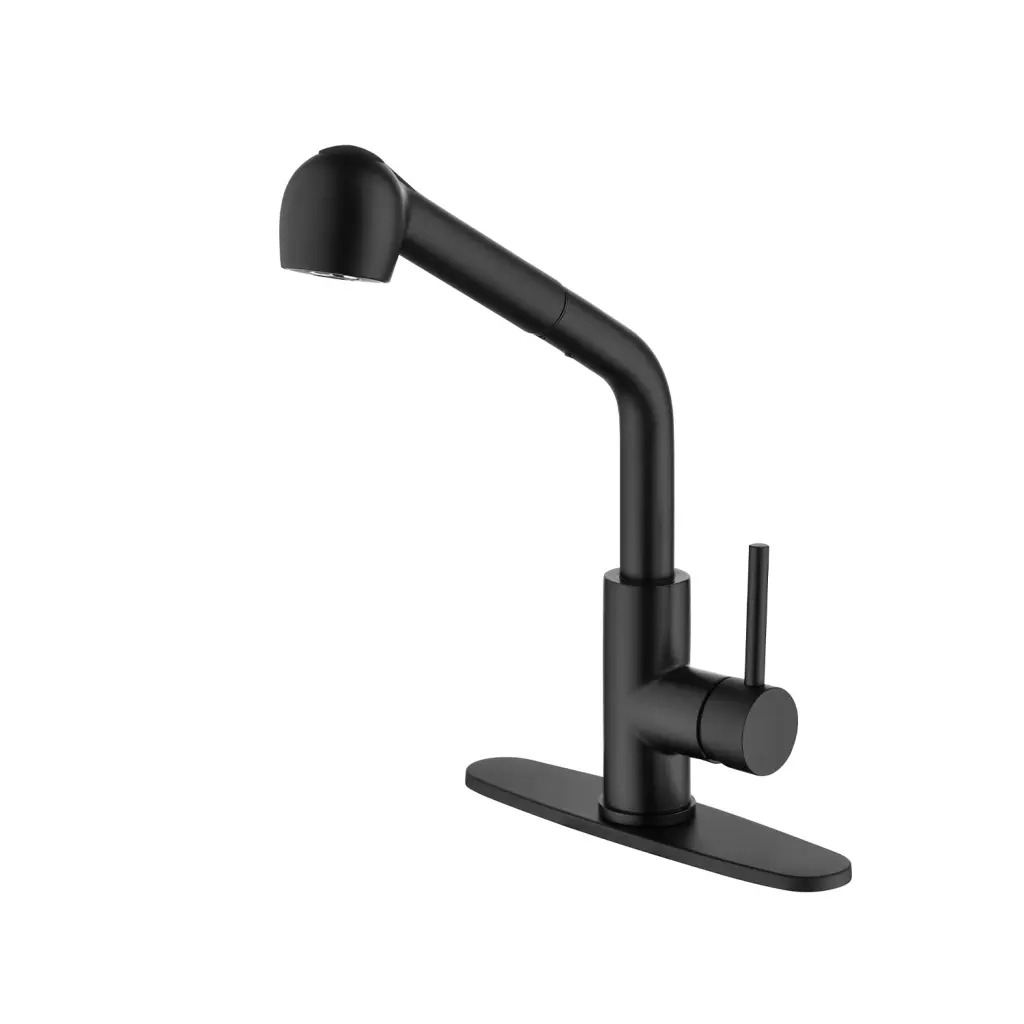 Single Handle Kitchen Sink Faucet Pull Out Sprayer Matte Black Stainless Steel w2287