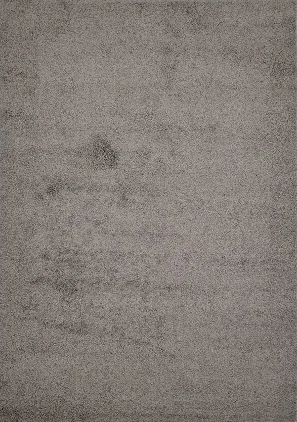 Shaggy Area Rugs 5x7 Grey Living Room Carpets Soft Floor Mat furnia