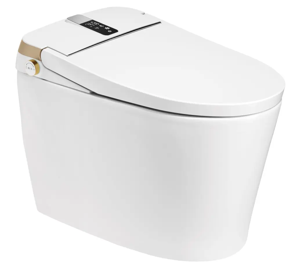Elongated One Piece Floor Mounted Smart Toilet Remote Control Modern Bathroom Toilet create