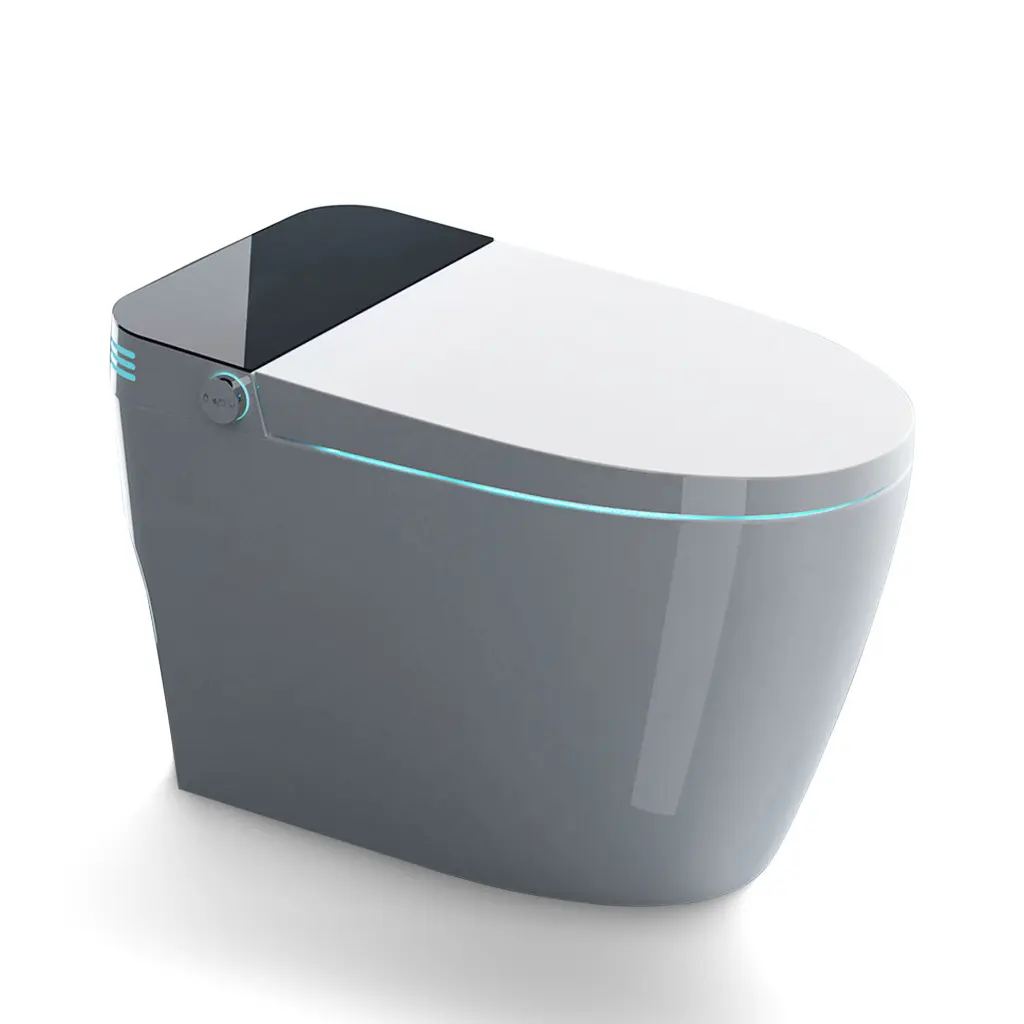 St Dp 02 Intelligent Toilet Heated Seat One Piece Toilet Bidet jopure