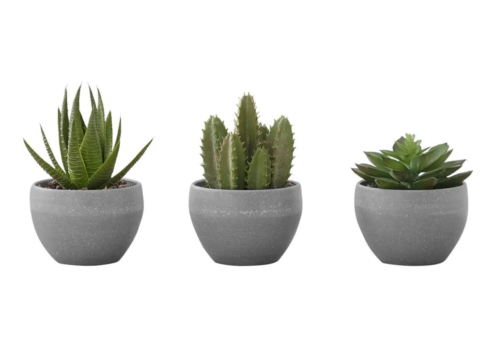 6 Inch Tall Artificial Succulent Plant Faux Fake Green Tabletop Decor 8th street living