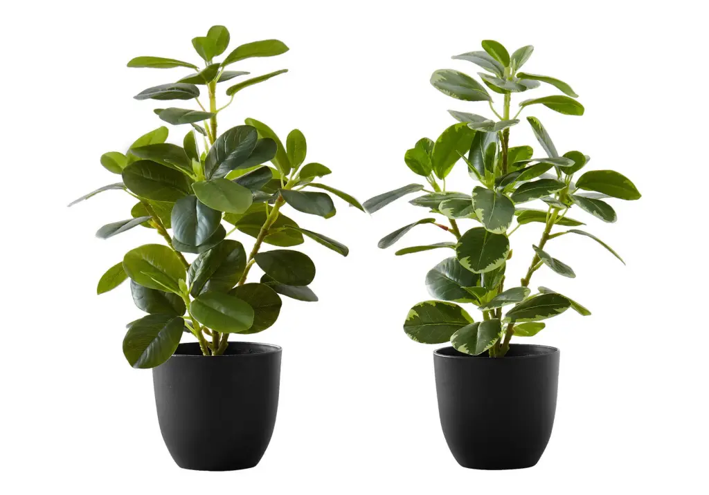14 Inch Tall Artificial Ficus Plant Indoor Faux Table Greenery 8th street living