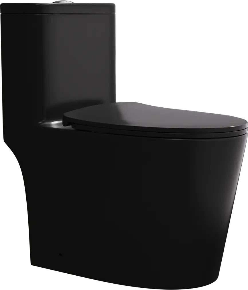 Matte Black One Piece Dual Flush Elongated Toilet Porcelain create