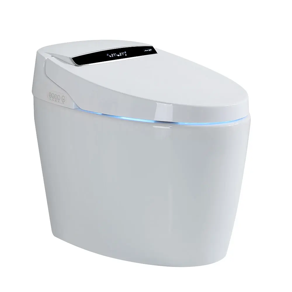 Intelligent Toilet Heated Seat and Bidet Function singularity