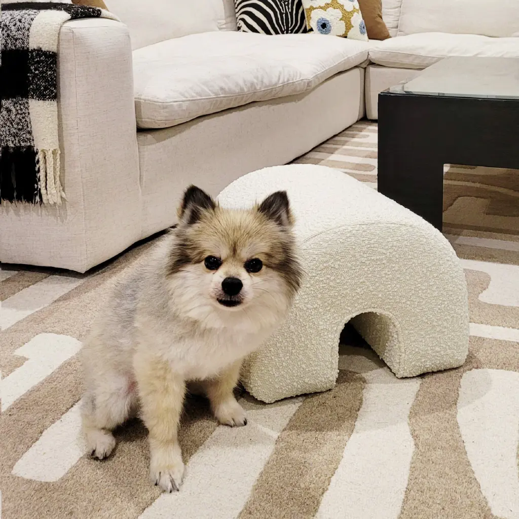 Bridge 16 Inch Arched Upholstered Footstool Ottoman Ivory White Boucle Fabric Living Room Decor jennifer taylor home