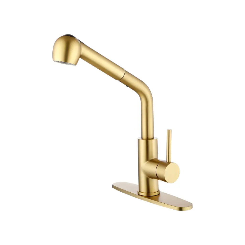 Utility Sink Faucets Single Handle Pull Out Laundry Faucet Dual Spray Modes rnb