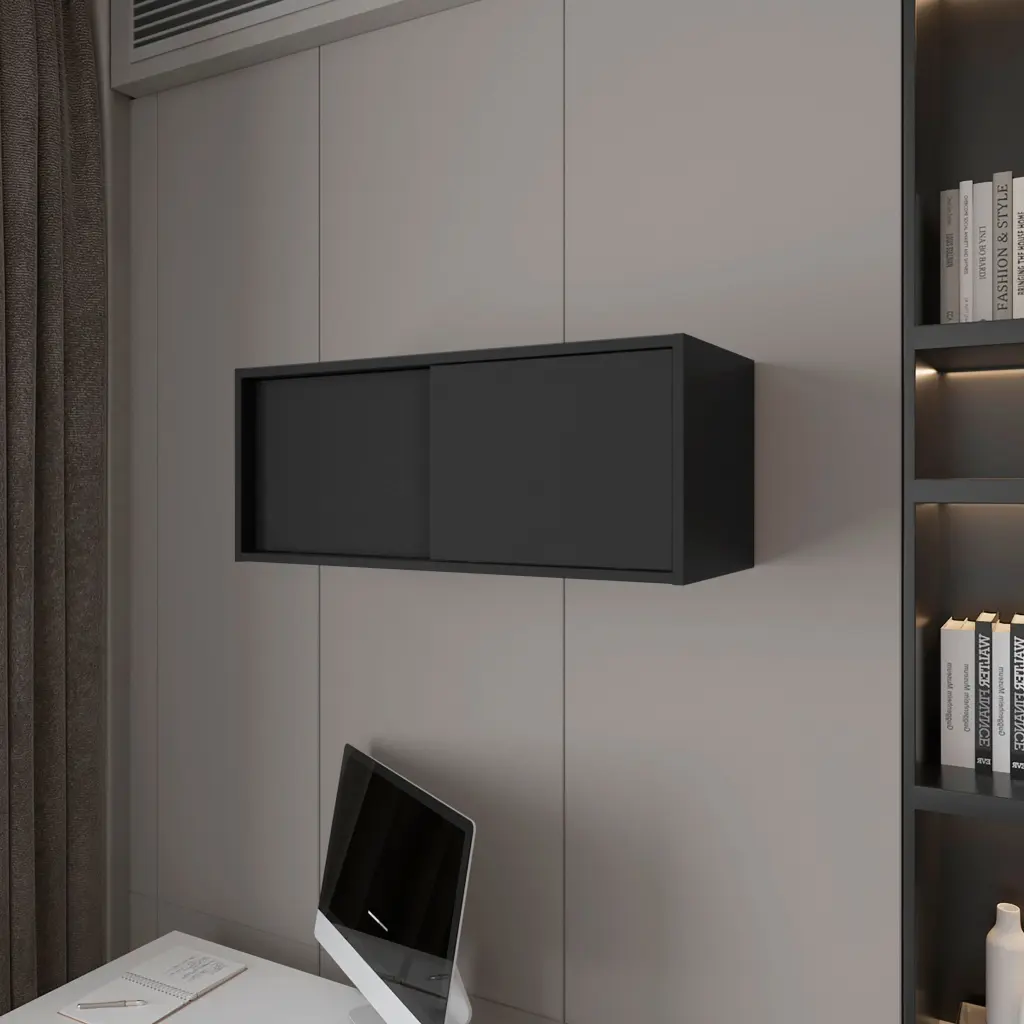 Anegam Floating Cabinet Sliding Door, Black Wall Mounted Storage fm furniture