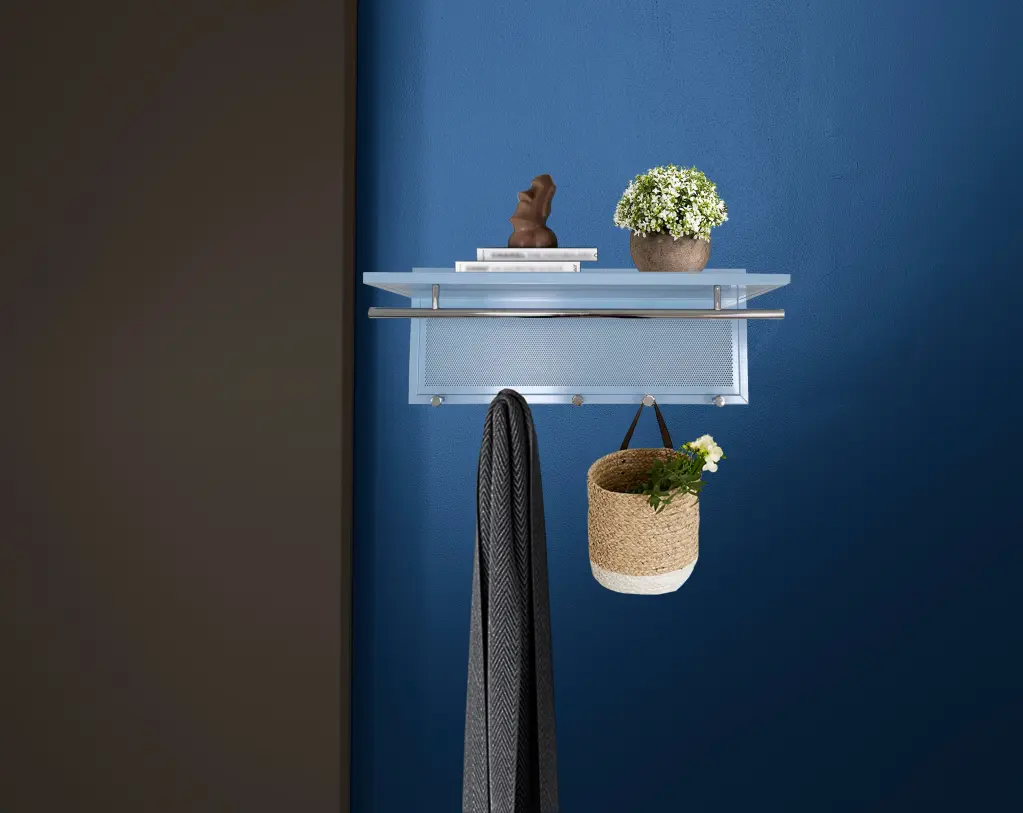 Esyspot Metallic Powder Coating Hook Wall Mounted Shelf Blue Bedroom Organizer new spec furniture