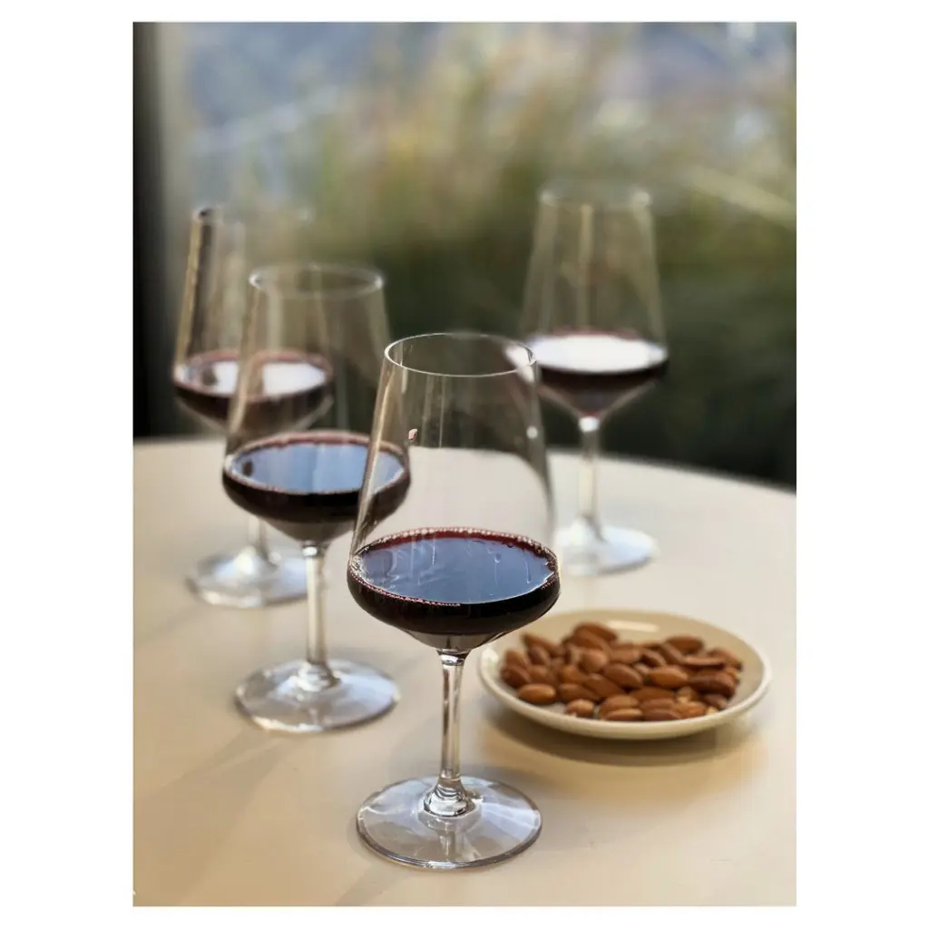Polymer Wine Crystals Set 4 19Oz BPA Free Tritan Lexington california drinkware
